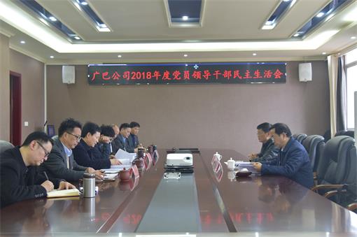 ag亚州游戏集团官网公司党委委员、副总经理张洪春督导广巴公司2018年度党员领导干部民主生活会.jpg