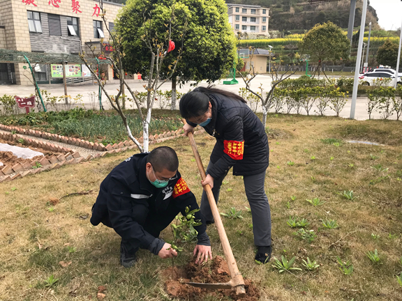 团员常顺、李东易为树苗盖土.JPG