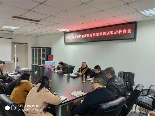 咨询公司召开深刻汲取蒲波严重违纪违法案件教训警示教育会.jpg