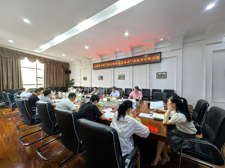 7.18+党群工作部+成德南公司召开“牢记嘱托、感恩奋进”专题学习研讨会_副本.jpg